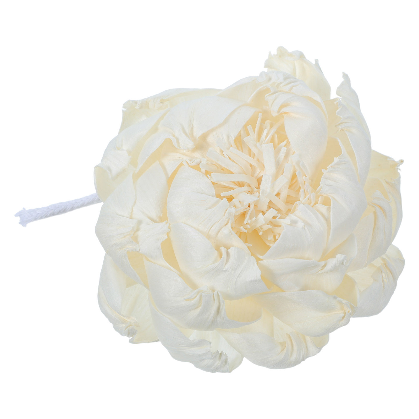 Aroma-Diffusor-Blume für die H – Home Decor Essentials Bewertung und Preis