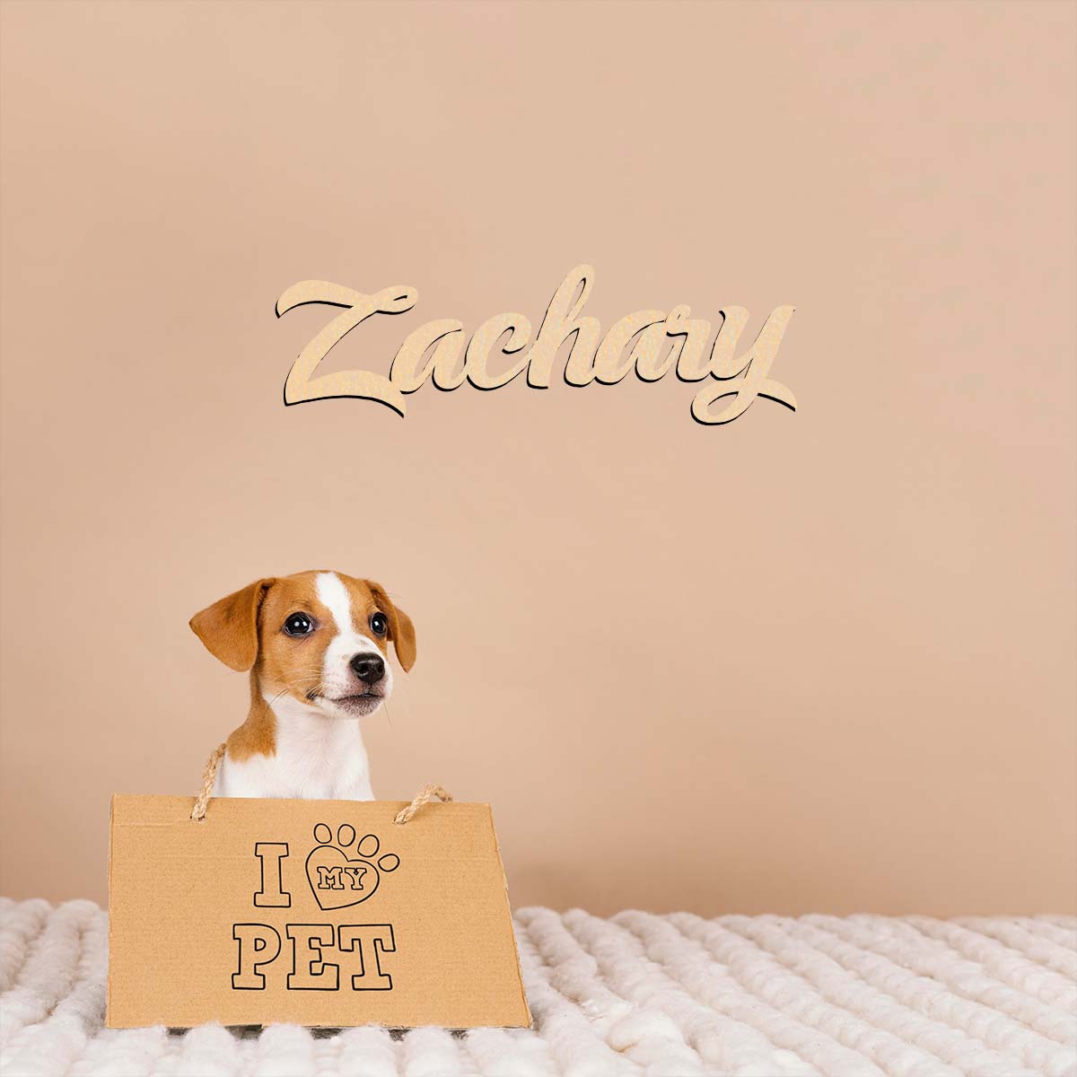 1 Stück Heimdekoration Zachary – Home Decor Examples Bewertung und Preis